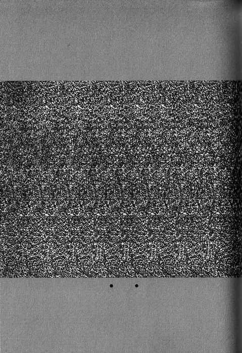 039.jpg
