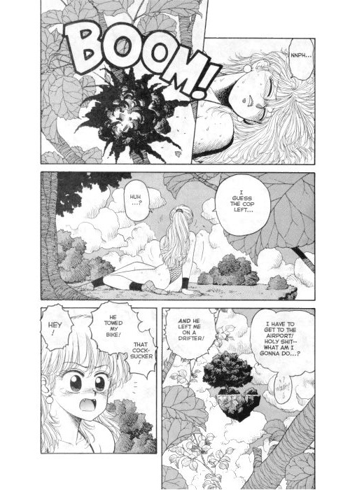 mist3_13.jpg