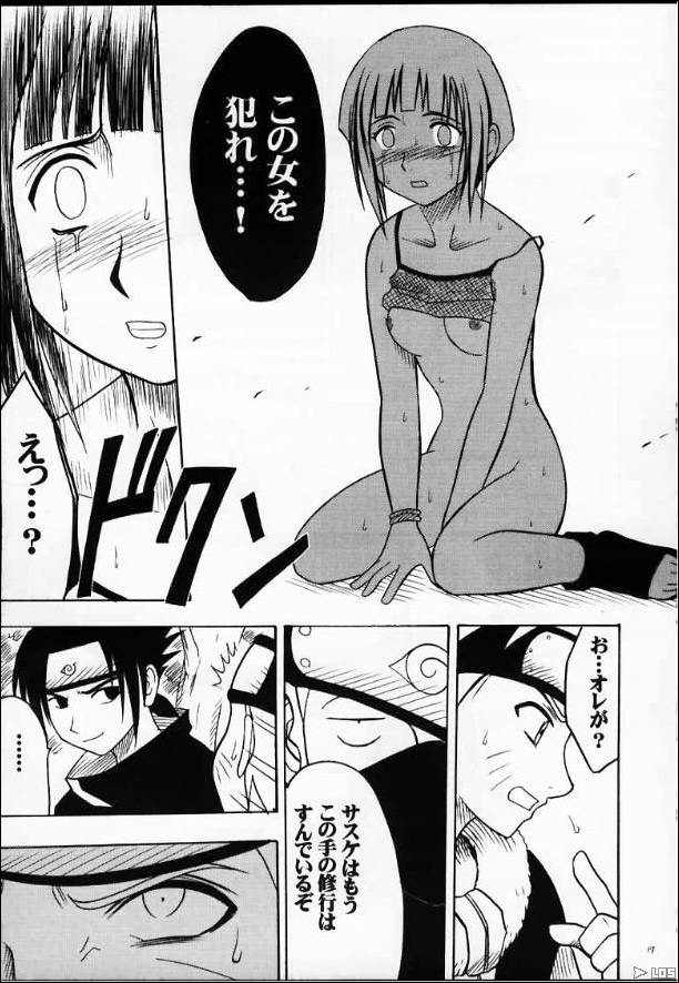 hianta_16.jpg