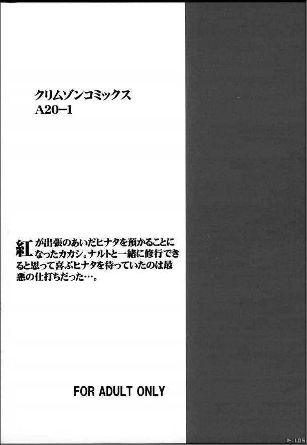 hianta_27.jpg