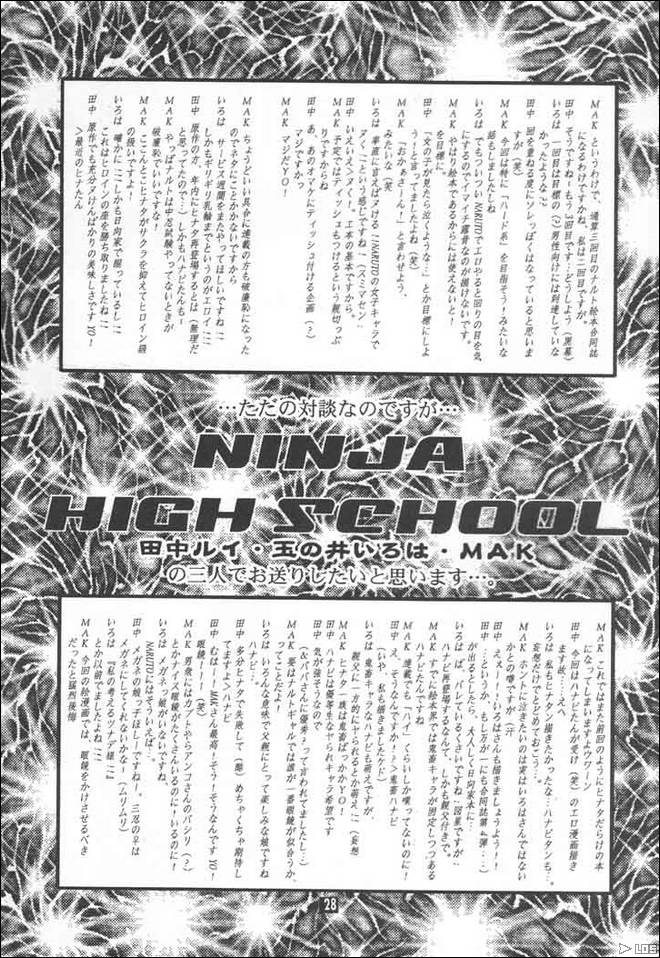 NinjaHS27.jpg